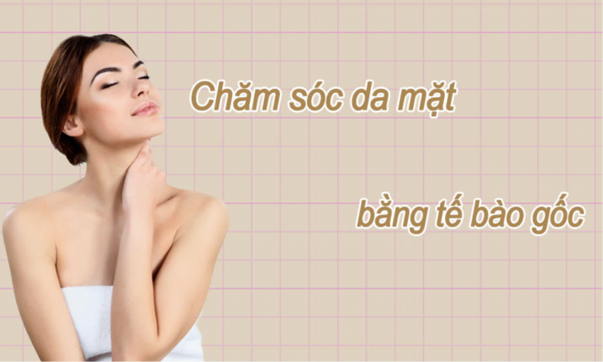 Chăm Sóc Da Hiệu Quả với Mỹ Phẩm Sinh Học Tế Bào Gốc - Lộ Trình Làm Đẹp Cho Làn Da Sáng Mịn