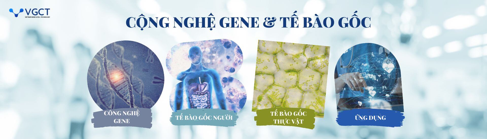 VGCT đơn vị tiên phong trong lĩnh vực gene và tế bào gốc